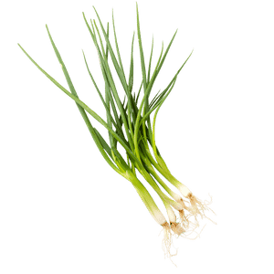 Manojo de cebolla junca fresca con tallo verde