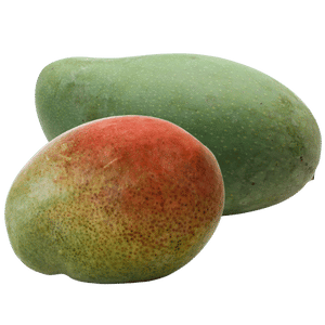 Mango Tommy Mangos Tommy grandes, verdes y coloridos