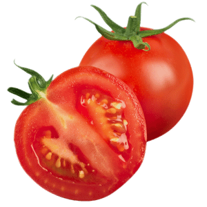 Tomate chonto rojo fresco y brillante